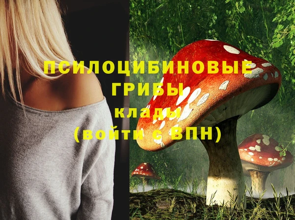 MDMA Premium VHQ Каменск-Шахтинский