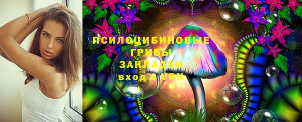 трава Каменногорск