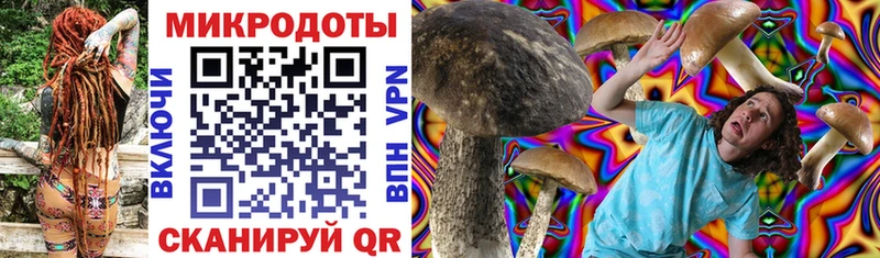 Купить где  Менделеевск  Псилоцибиновые грибы мухоморы 